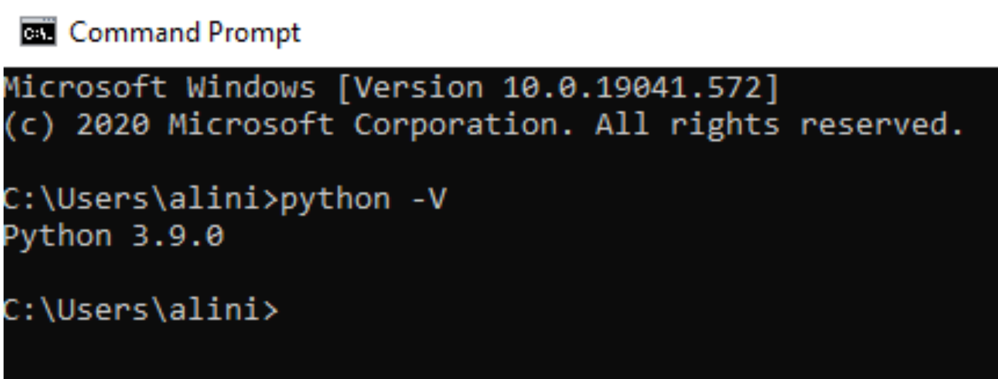 install-python4